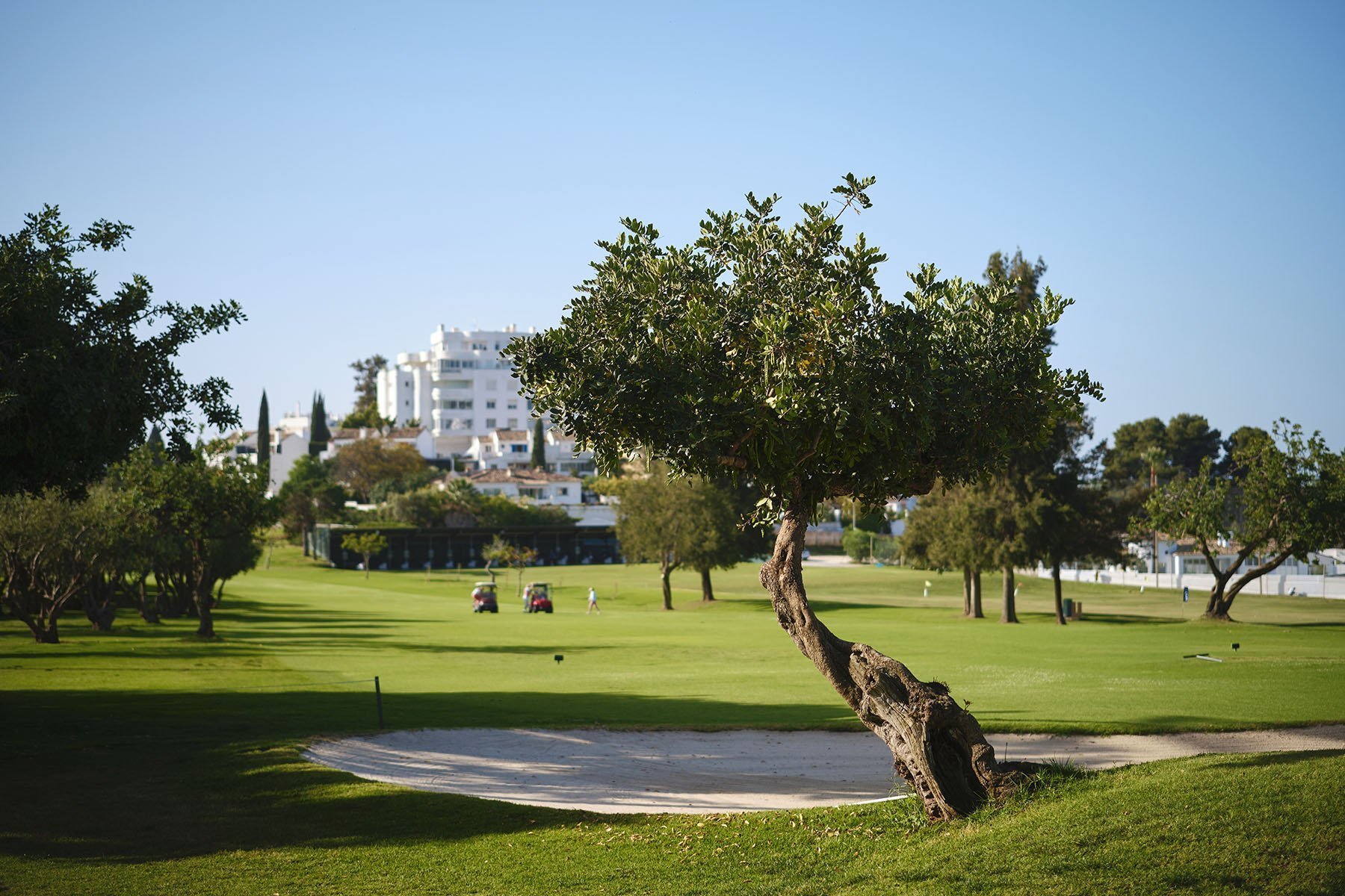 Campo Norte Guadalmina Golf
